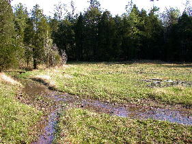 Cedar Glade developed over limestone; impermanent stream in foreground is habitat for Isoetes butleri (Butler's quillwort). Chickamauga and Chattanooga National Battlefield Park, Catoosa County, Georgia. April 14, 2004.