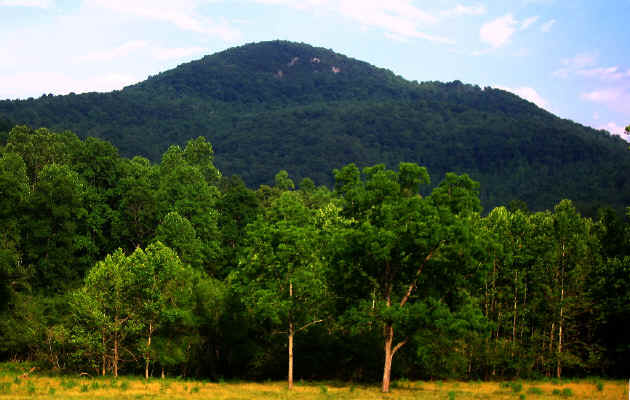 Pores_Knob--viewed_from_NC_Hwy._18--Wilkes_County--2006-06-21.jpg (245644 bytes)