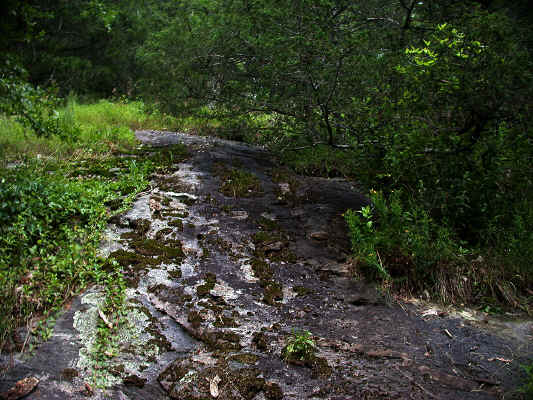 better_days_of_yore_at_Joe_Mountain_2--Alexander_County_NC--2003-06-27.JPG (287597 bytes)