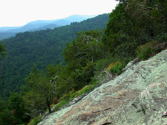 outcrop_view_2--'Prickly-pear_Mountain'--Alexander_County_NC--2006-07-24.jpg (237085 bytes)