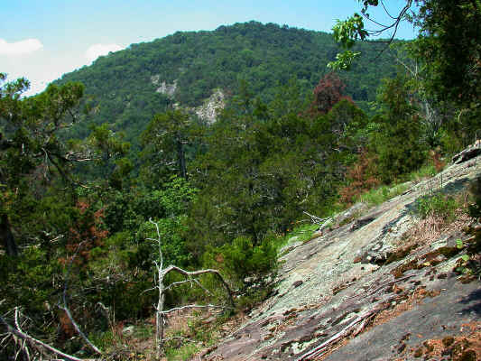 view_to_Joe_Mountain_from_Little_Joe_Mountain--Alexander_County_NC--2006-07-18.JPG (496132 bytes)