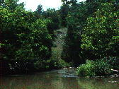 Glimpse, from canoe, of sloping glade ahead, above the Little Cahaba River