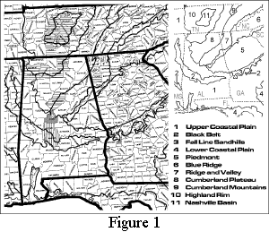 Figure 1. Left: county map of Alabama and portions of some nearby states; Bibb County, Alabama shaded in gray, with general location of Ketona Dolomite Glades marked with a white asterisk; horizontal hatching = known county distribution of Erigeron strigosus var. calcicola; vertical hatching = county distribution of Silphium perplexum. Right: guide to boundaries of states (dotted lines) and physiographic regions demarcated at left. Base map derived from Physical Map of the Southeast, copyright 1967 by Wilbur H. Duncan.